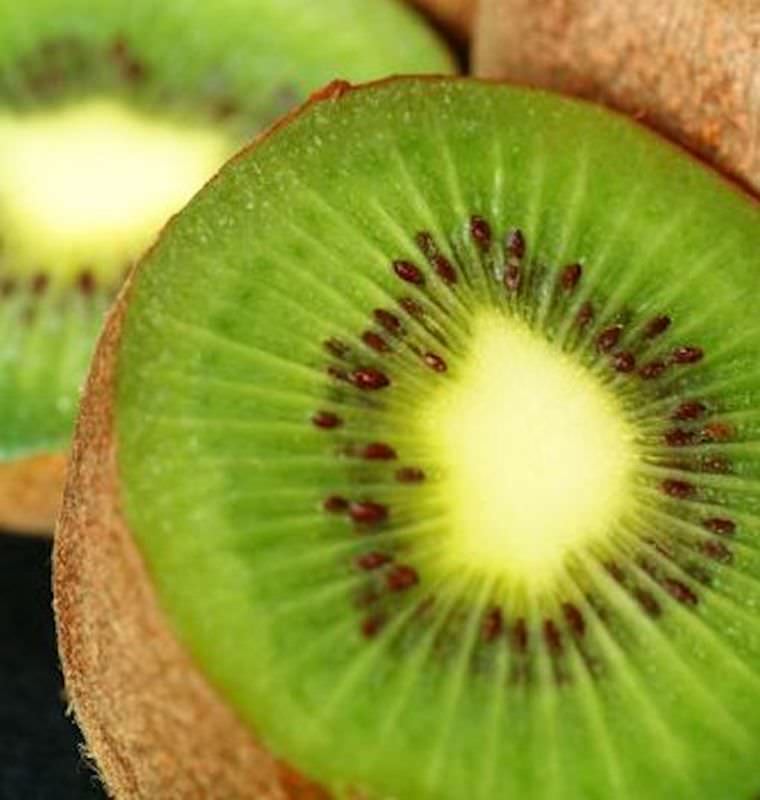 Selbstfruchtende Kiwi Solo 40-60cm - Actinidia Arguta