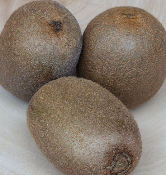  Weibliche Kiwi Hayward 40-60cm - Actinidia Chinensis