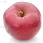 Apfelbaum Himbeerapfel Lübben 60-80cm - Knackig Und Rot