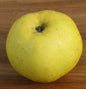  Apfelbaum Seestermühler Zitronenapfel 60-80cm - Saftig Und Leicht Säuerlich